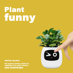 Emotional green plant cute pet creative smart flower pot ornaments birthday gifts, suitable for girls and boyfriends