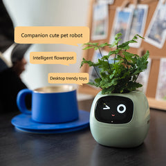 Emotional green plant cute pet creative smart flower pot ornaments birthday gifts, suitable for girls and boyfriends