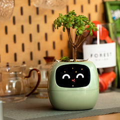 Emotional green plant cute pet creative smart flower pot ornaments birthday gifts, suitable for girls and boyfriends